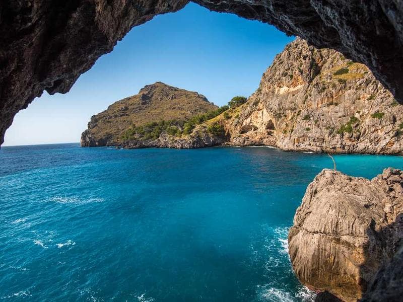 AI-Powered Sales Automation