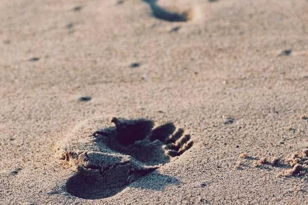 How SMEs in Kenya Can Leverage AI to Compete